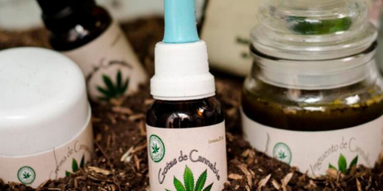 Promueve la UAS el programa cultural de Intercambio “Un mundo de oportunidades”, para trabajar durante tres meses en Disney, en Orlando