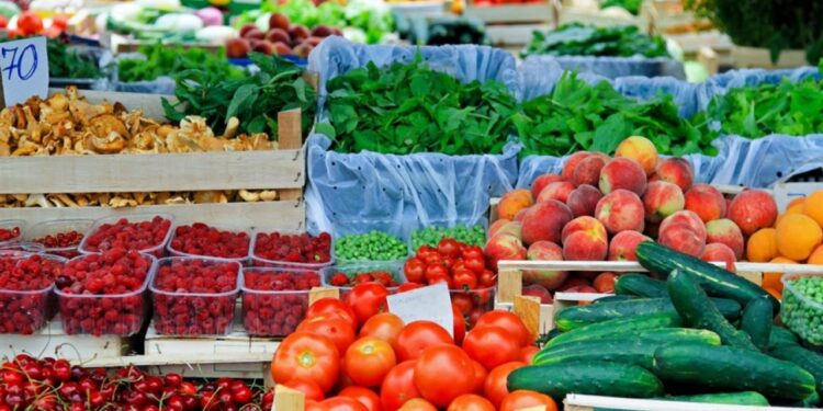 El Centro de Políticas de Género lleva a cabo la clausura del “Diplomado en Cultura de la Paz y Derechos Humanos para la Igualdad de Género”