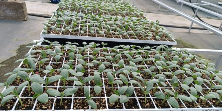 Lista la Facultad de Agronomía de la UAS para realizar una serie de actividades previas al inicio del próximo ciclo agrícola en Sinaloa