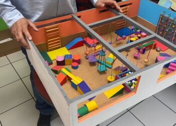 Llevarán a cabo en la FEFyDE proyecto sobre la educación física y su relación con el desarrollo social y cognitivo en edades tempranas