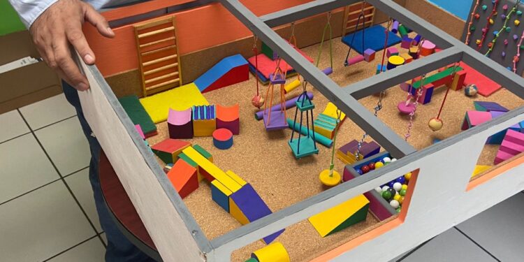 Llevarán a cabo en la FEFyDE proyecto sobre la educación física y su relación con el desarrollo social y cognitivo en edades tempranas