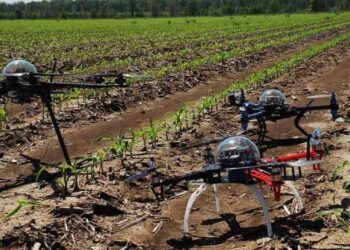 La agricultura de precisión reduce uso de agroquímicos, mejora el rendimiento y el cuidado del medio ambiente, señala especialista de la UAS