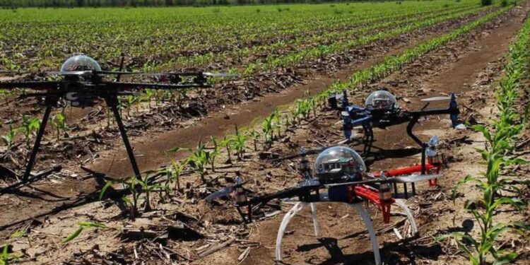 La agricultura de precisión reduce uso de agroquímicos, mejora el rendimiento y el cuidado del medio ambiente, señala especialista de la UAS