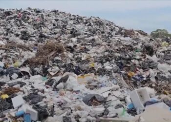 El cambio climático está trayendo afectaciones en diversos aspectos, así como en la intensidad de los eventos naturales, detalla investigadora