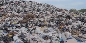 El cambio climático está trayendo afectaciones en diversos aspectos, así como en la intensidad de los eventos naturales, detalla investigadora