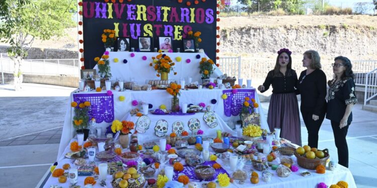 Juez Séptimo tomó una decisión errónea porque dolosamente se le omitió que hay una suspensión en contra de las reformas a la Ley Orgánica de la UAS; resolución ya fue impugnada, detalla abogado