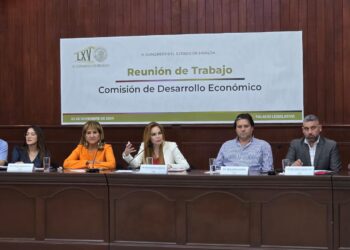 Buscaremos acercamiento en el Senado de la República, la Comisión de Desarrollo Económico junto con comitiva de empresarios sinaloenses: Paola Gárate
