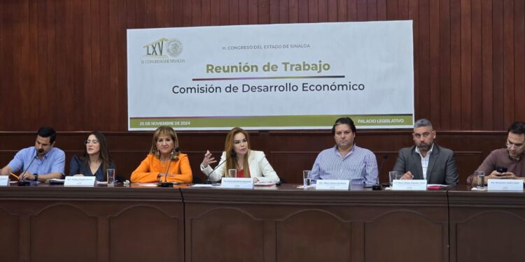 Buscaremos acercamiento en el Senado de la República, la Comisión de Desarrollo Económico junto con comitiva de empresarios sinaloenses: Paola Gárate