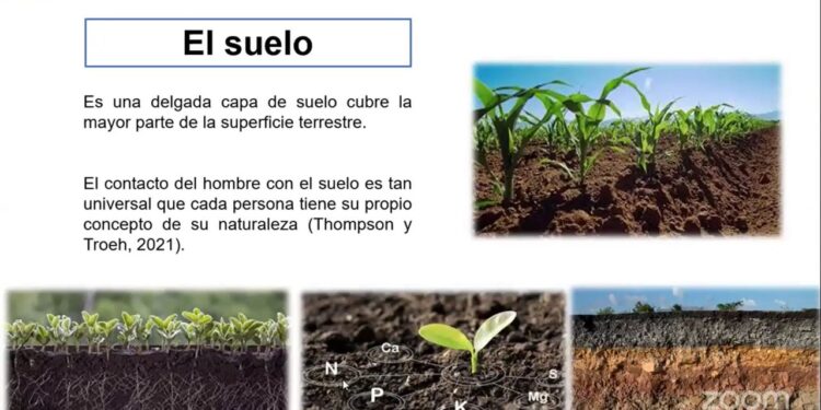 El 95 por ciento de los alimentos provienen del suelo, de ahí la necesidad de su cuidado, conservación y sostenibilidad agrícola, expuso investigadora