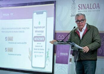 Antes de que termine diciembre se concluirá con el pago de los apoyos al maíz y trigo: Rocha