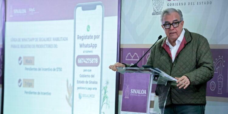 Antes de que termine diciembre se concluirá con el pago de los apoyos al maíz y trigo: Rocha