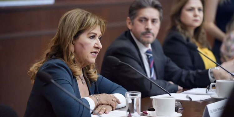 Recursos públicos deben ejercerse bien y con honestidad: Dip. Guerra Ochoa