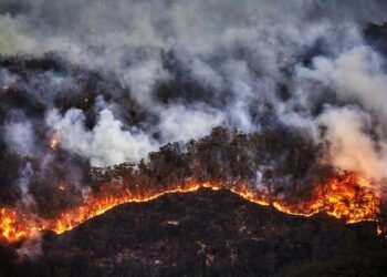 Los incendios forestales combinan los efectos de la sequía que se vive actualmente y los errores humanos al provocarlos en un 90% de los casos
