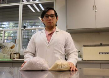 Doctorando de la UAS trabaja en proyecto para transformar la percepción de las botanas hacia una opción saludable y funcional