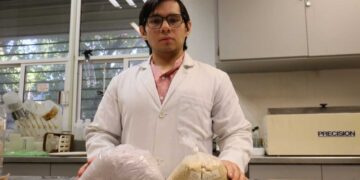 Doctorando de la UAS trabaja en proyecto para transformar la percepción de las botanas hacia una opción saludable y funcional