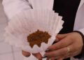 Maestranda de la UAS busca desarrollar una bebida optimizada de café y orujo de oliva para confirmar los efectos combinados de ambos