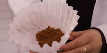 Maestranda de la UAS busca desarrollar una bebida optimizada de café y orujo de oliva para confirmar los efectos combinados de ambos