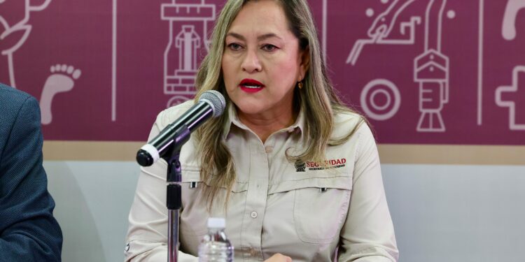 Autoridades realizan aseguramientos, despliegue de operativo por el Día del Amor y la Amistad y revisiones en penales estatales: SSP Sinaloa