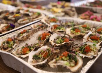 Abre sus puertas la Feria del Ostión Elota 2025