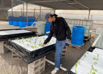 La UAS, comprometida con el medio ambiente y el aprendizaje integral, inaugura la Unidad de Agricultura Sustentable en la Facultad de Agricultura Valle del Fuerte, en Juan José Ríos