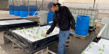 La UAS, comprometida con el medio ambiente y el aprendizaje integral, inaugura la Unidad de Agricultura Sustentable en la Facultad de Agricultura Valle del Fuerte, en Juan José Ríos