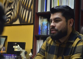 Importante regular el maíz transgénico, pero poniendo mayor atención al impacto a la salud humana causado por los agroquímicos que se usan