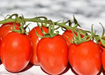 Investigador de la UAS realizará una estancia posdoctoral en la Universidad de Almería, España, para estudiar el cultivo y comercialización del tomate