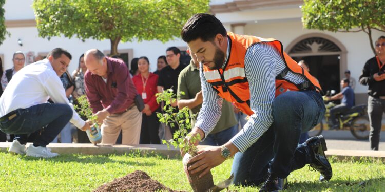 Inician en Elota programa de plantación de Frutilla, especie en peligro de extinción