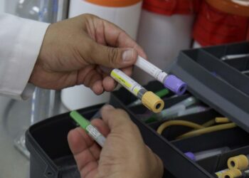 El tipo de alimentación es determinante en la aparición de cálculos renales: especialistas en medicina y nutrición