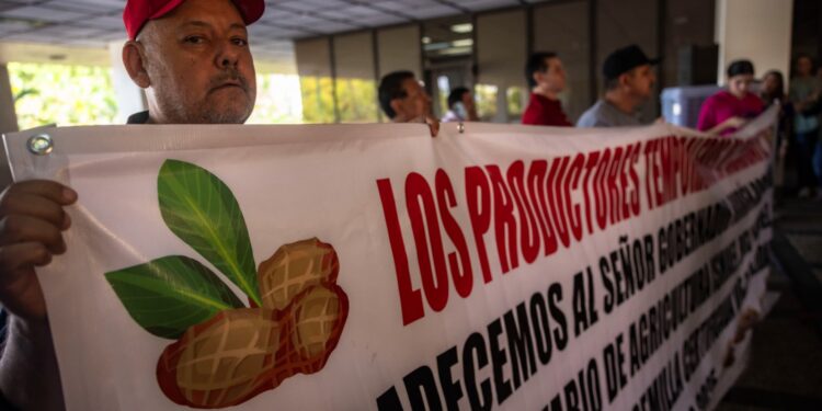 Con una inversión de 35 mdp, gobernador Rocha entrega semilla a productores de temporal y ganaderos