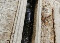 Panteones, uno de los mayores focos de dengue en Sinaloa; necesario trabajar en ellos, señalan investigadores y alumnos de la UAS