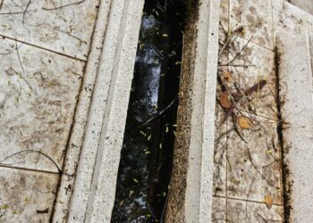 Panteones, uno de los mayores focos de dengue en Sinaloa; necesario trabajar en ellos, señalan investigadores y alumnos de la UAS