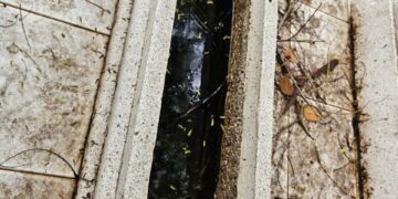 Panteones, uno de los mayores focos de dengue en Sinaloa; necesario trabajar en ellos, señalan investigadores y alumnos de la UAS