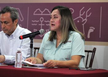 Autoridades aseguran un civil, vehículos, presuntas drogas y precursores químicos en Culiacán y Navolato