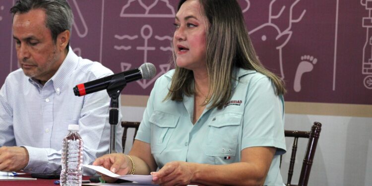 Autoridades aseguran un civil, vehículos, presuntas drogas y precursores químicos en Culiacán y Navolato