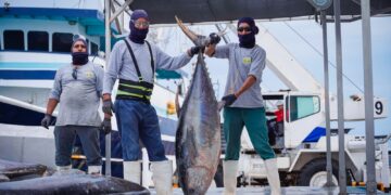Sinaloa encabeza el crecimiento económico nacional en el primer trimestre de 2025