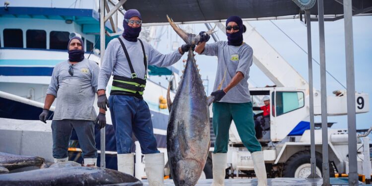 Sinaloa encabeza el crecimiento económico nacional en el primer trimestre de 2025