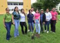 La Casa Rosalina continúa el proyecto de Jardines Sustentables UAS para tu Bienestar en Ciudad Universitaria, con la participación de la comunidad