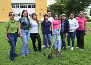 La Casa Rosalina continúa el proyecto de Jardines Sustentables UAS para tu Bienestar en Ciudad Universitaria, con la participación de la comunidad