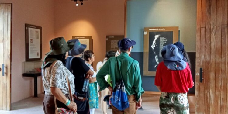 Con un equipo integral de investigadores de la UAS, universitarios llevan a cabo trabajo de campo en las Islas Marías