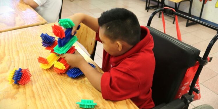 Guadalupe Russel, investigadora de la UAS, participa en el primer Encuentro Nacional de Alternativas para la Educación Especial