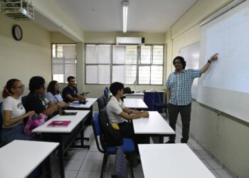 La técnica agrovoltaica, una innovación que optimiza el uso del suelo, genera energía renovable y mejora la producción en los campos agrícolas