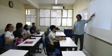 La técnica agrovoltaica, una innovación que optimiza el uso del suelo, genera energía renovable y mejora la producción en los campos agrícolas