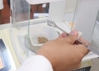 En colaboración con el CIAD, egresado de Maestría de la UAS desarrolla bebida antioxidante y antihipertensiva a base de jamaica y garbanzo